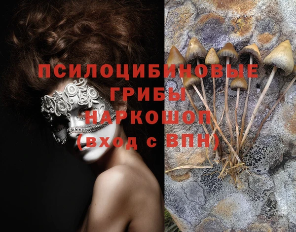 стафф Каменногорск