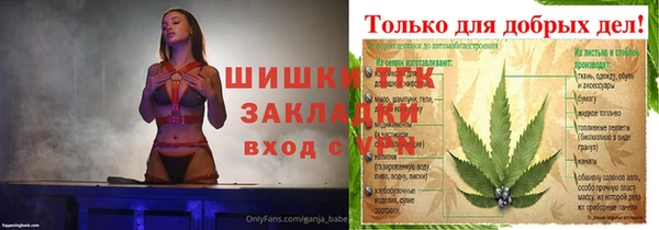 стафф Каменногорск