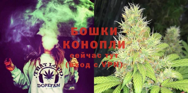 стафф Каменногорск