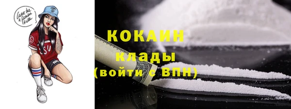 дживик Каменка