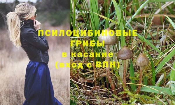стафф Каменногорск