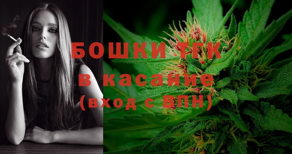 дживик Каменка