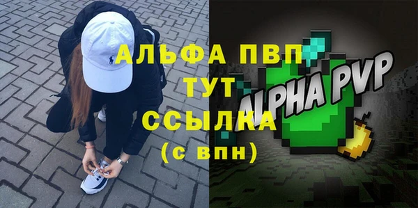 стафф Каменногорск